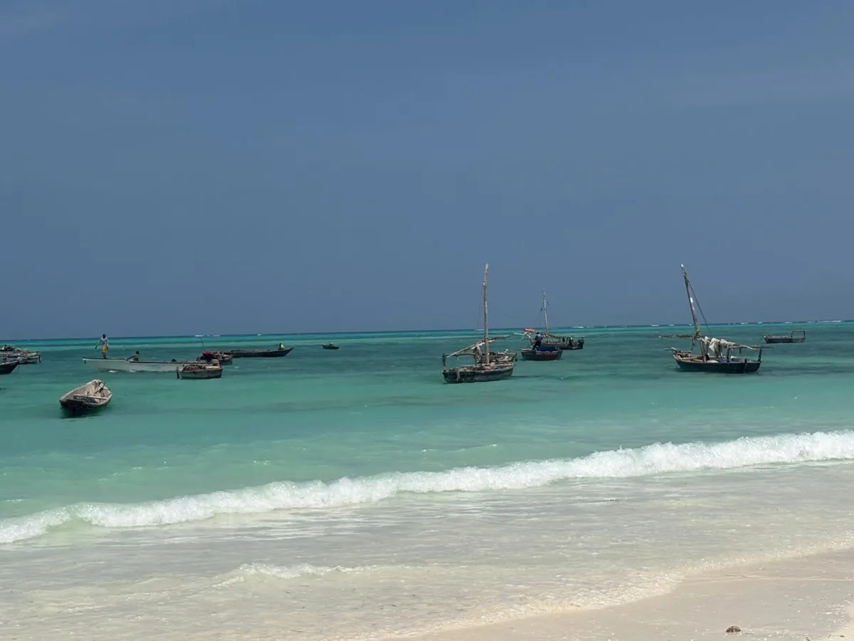 Bateaux traditionnels sur les eaux turquoise de Zanzibar