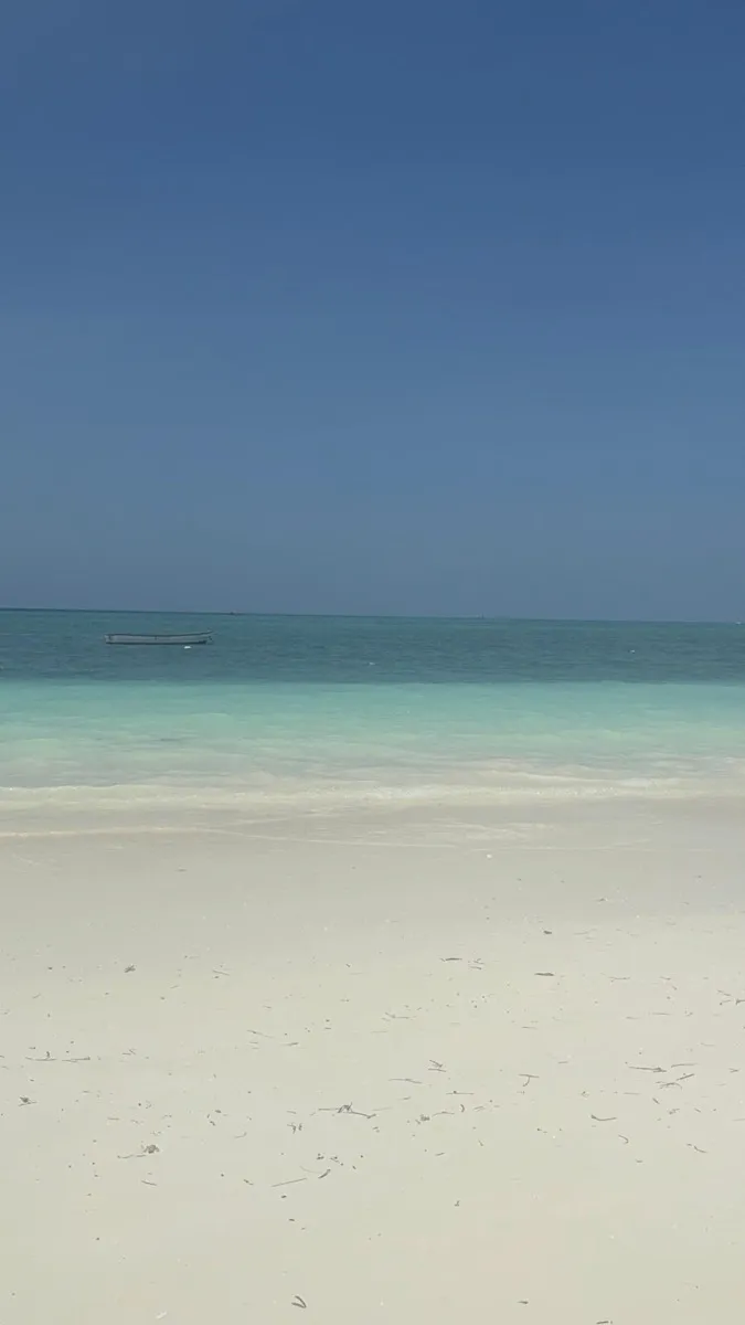 Vue panoramique de la plage de Zanzibar