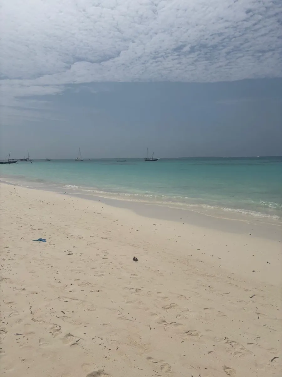 Plage paradisiaque avec voiliers